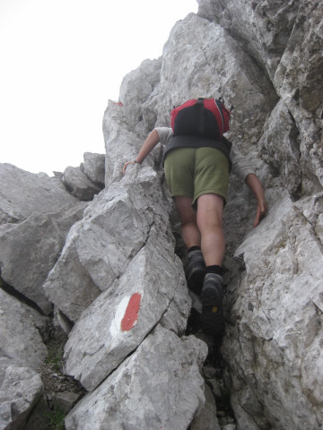 Foto: Wolfgang Lauschensky / Wandertour / Reißkofel 2371m Überschreitung / kurze Blockgratkletterei / 28.08.2010 19:23:13