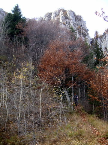 Foto: Wolfgang Lauschensky / Wandertour / Sentiero Somator / steiler Ostflankenabstieg / 13.12.2011 12:20:06
