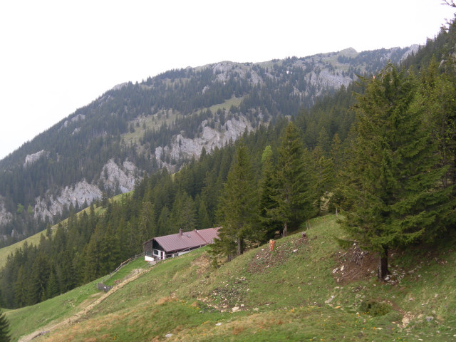 Foto: Wolfgang Lauschensky / Wandertour / Breitenstein, 1622 m / über der Kothalm der Bockstein/Breitenstein / 13.05.2012 17:06:03