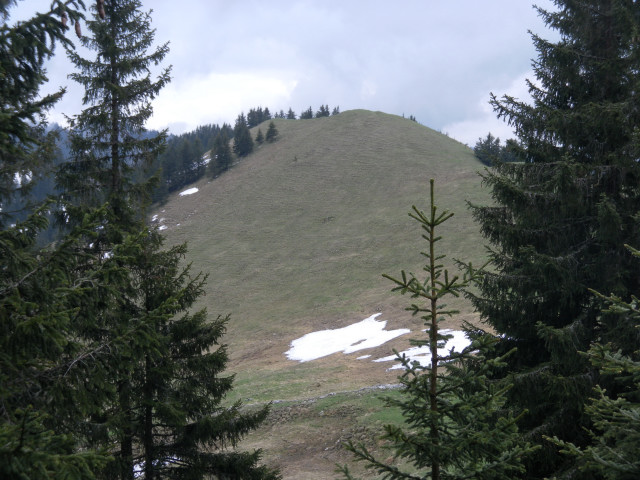 Foto: Wolfgang Lauschensky / Wandertour / Breitenstein, 1622 m / Kirchwand / 13.05.2012 17:05:39