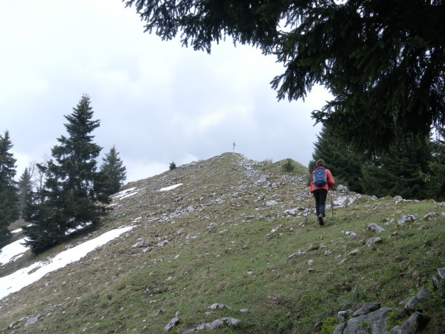 Foto: Wolfgang Lauschensky / Wandertour / Breitenstein, 1622 m / am Gratrücken des Schweinsbergs / 13.05.2012 17:05:05