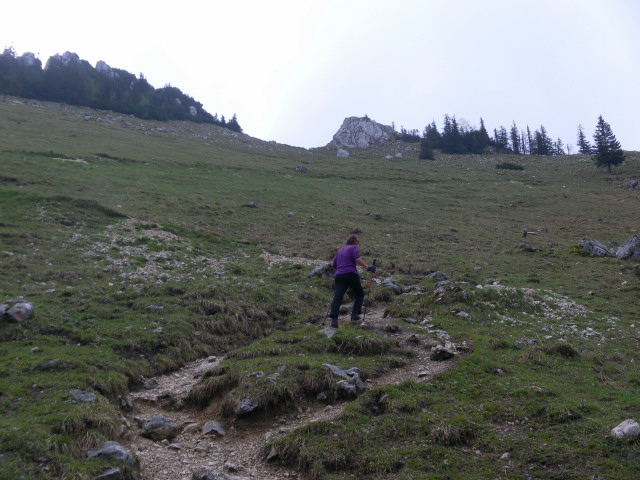 Foto: Wolfgang Lauschensky / Wandertour / Breitenstein, 1622 m / Nordan(ab)stieg von der (zur) Bucheralm / 13.05.2012 17:03:40