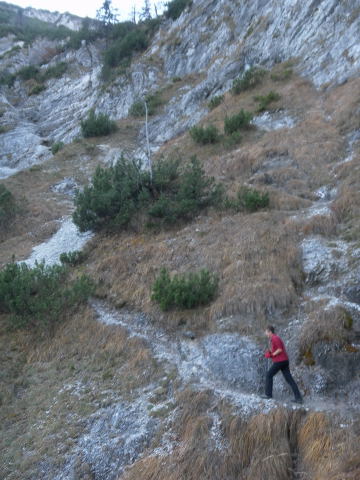 Foto: Wolfgang Lauschensky / Wandertour / Blauberge - Überschreitung / steile Grashänge / 22.11.2011 23:04:54