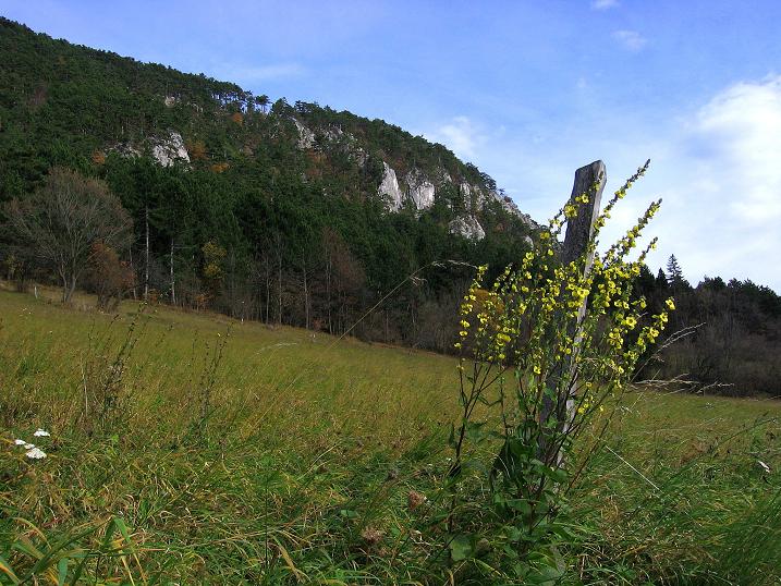 Foto: Andreas Koller / Klettertour / Doppelsteig (722m) / Flatzer Wand / 02.11.2010 20:43:50