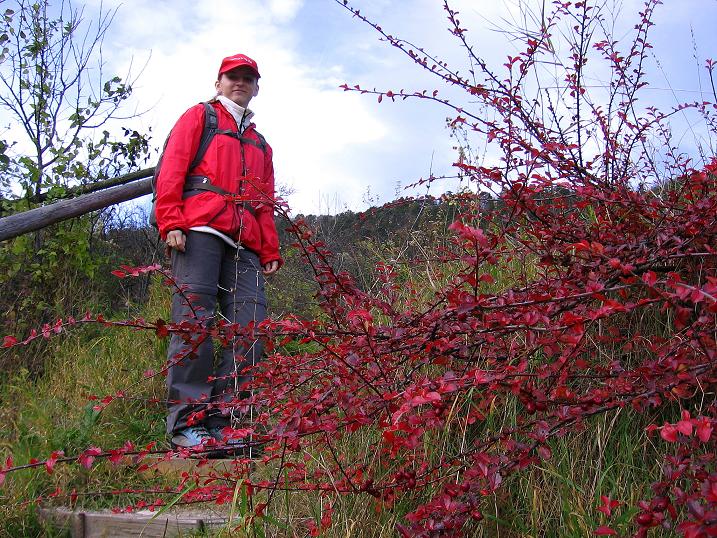 Foto: Andreas Koller / Klettertour / Doppelsteig (722m) / 02.11.2010 20:43:41
