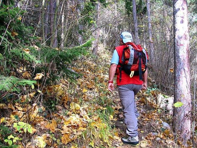 Foto: Andreas Koller / Klettertour / Doppelsteig (722m) / Der Zustieg durch den Wald / 02.11.2010 20:42:56