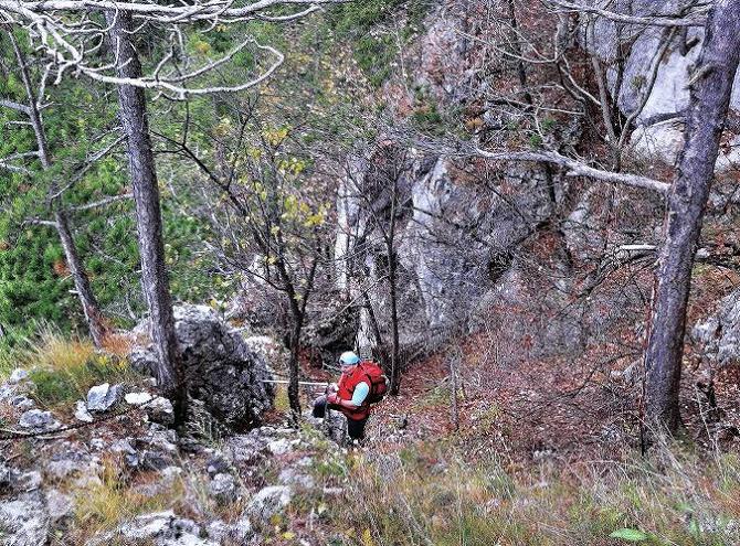 Foto: Andreas Koller / Klettertour / Doppelsteig (722m) / Abstieg am Jubiläumssteig / 02.11.2010 20:30:05
