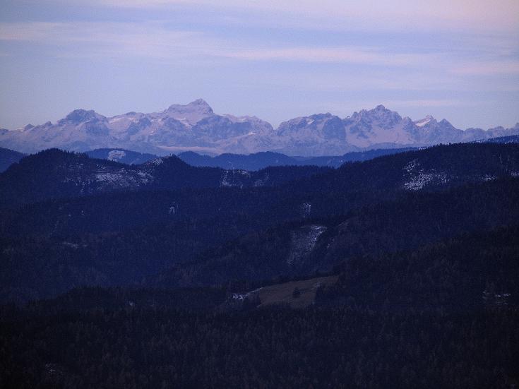 Foto: Andreas Koller / Wandertour / Aus dem Lerchgraben auf den Lärchkogel (2259m) / Steiner Alpen / 14.11.2010 20:56:06