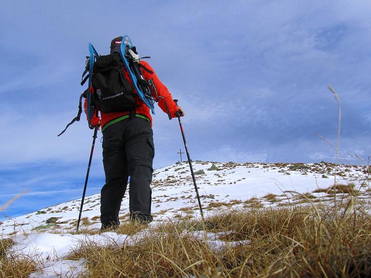 Foto: Andreas Koller / Wandertour / Aus dem Lerchgraben auf den Lärchkogel (2259m) / Die letzten Meter zum nahen Gipfel / 14.11.2010 20:55:05