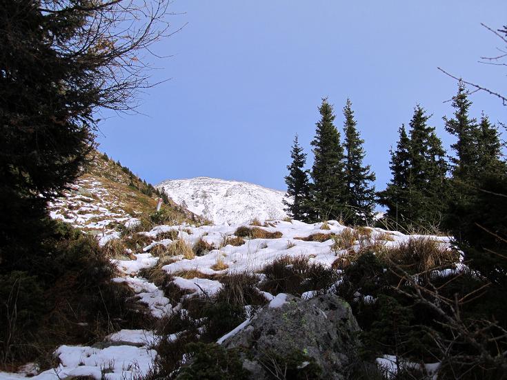 Foto: Andreas Koller / Wandertour / Aus dem Lerchgraben auf den Lärchkogel (2259m) / 14.11.2010 20:46:09