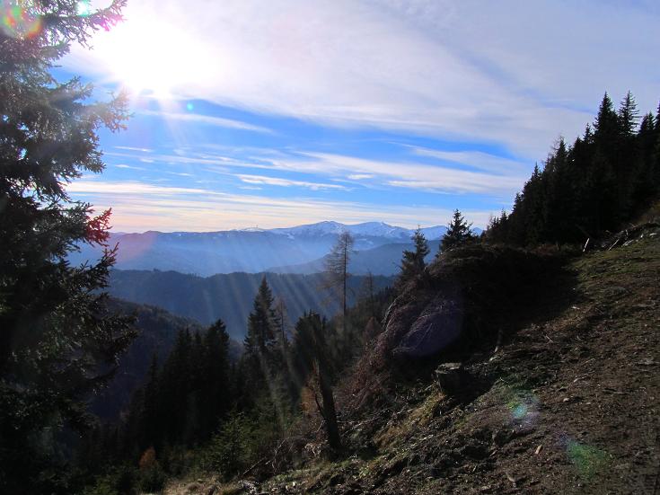 Foto: Andreas Koller / Wandertour / Aus dem Lerchgraben auf den Lärchkogel (2259m) / Abstieg in den Lerchgraben / 14.11.2010 20:46:00