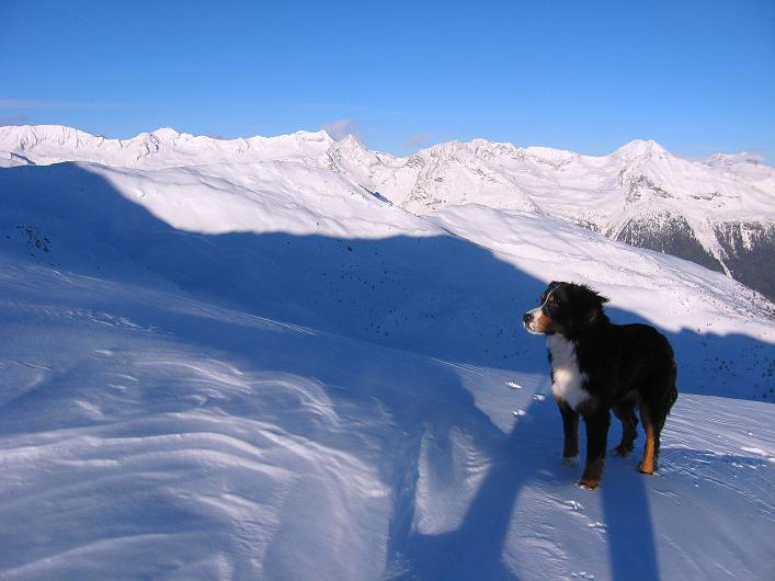 Foto: Andreas Koller / Skitour / Ochsenkopf - Geheimtipp über dem Mölltal (2536m) / Nun geht's für alle am Grat dahin! / 21.12.2010 20:19:25