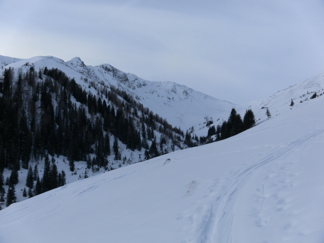 Foto: Wolfgang Lauschensky / Skitour / Manlitzkogel 2247m über Schwarzachengraben / Stoffenscharte gerade aus, links der Manlitzkogel und links davon die Abfahrtshänge / 06.01.2011 15:58:37