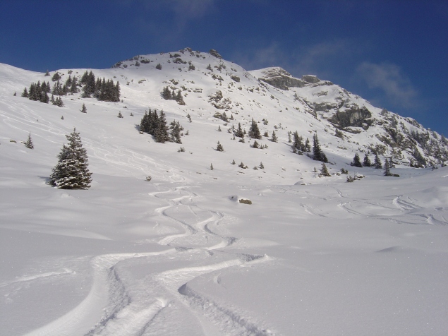 Foto: Manfred Karl / Skitour / Auracher Gipfelrunde Gebra - Weißkopfkogel - Bischof / Feiner Pulver am Gebra / 13.01.2013 20:55:07