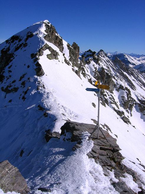 Foto: Andreas Koller / Skitour / Pizol - im Reich der Grauen Hörner (2844m) / Zurück im Pizolsattel / 11.02.2011 18:46:22