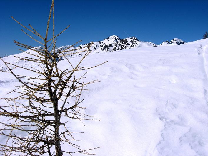 Foto: Andreas Koller / Skitour / Am Gaugen auf den Dolzer (2172m) / Hochtristen (2536m) / 10.03.2011 19:42:34