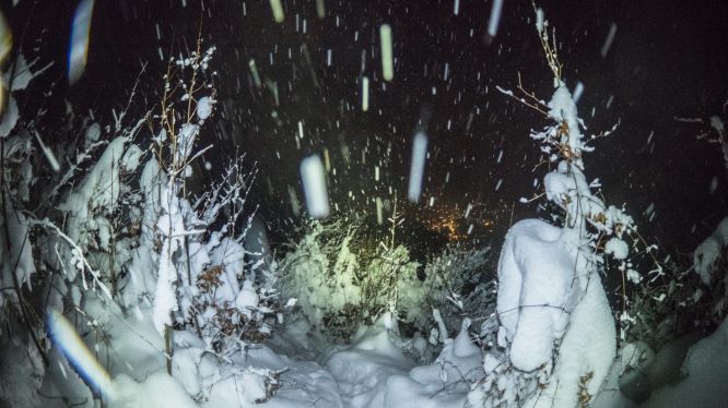 Foto: Datzi / Schneeschuhtour / Rundtour über den Prochenberg 1123m / Schneefall beim Abstieg gibt der Tour ein eigenes Erlebnis / 23.12.2018 09:35:18