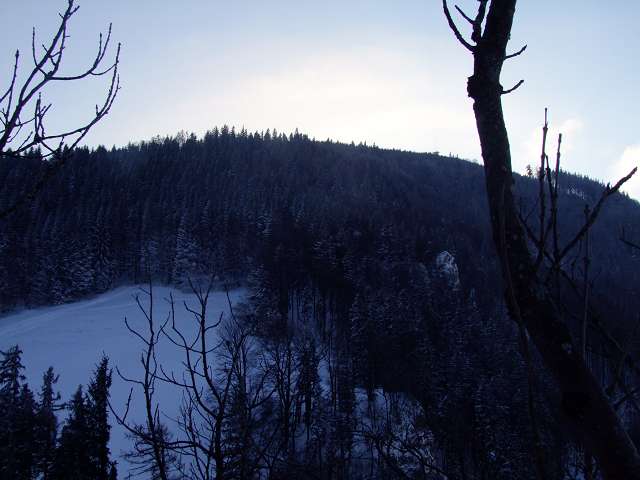Foto: Datzi / Schneeschuhtour / Rundtour über den Prochenberg 1123m / Die Wiese die man beim Anstieg nach der Haselsteinerwand querren muss / 01.05.2011 20:38:46