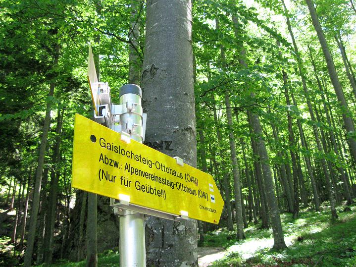 Foto: Andreas Koller / Klettersteigtour / Am Alpenvereinssteig zur Höllentalaussicht (1620m) / 03.06.2011 16:30:13