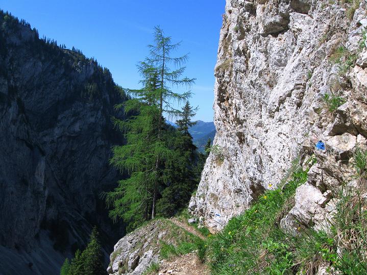 Foto: Andreas Koller / Klettersteigtour / Am Alpenvereinssteig zur Höllentalaussicht (1620m) / 03.06.2011 16:26:43
