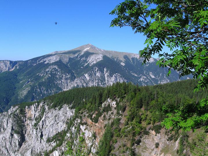 Foto: Andreas Koller / Klettersteigtour / Am Alpenvereinssteig zur Höllentalaussicht (1620m) / Schneeberg (2076m) / 03.06.2011 16:23:49