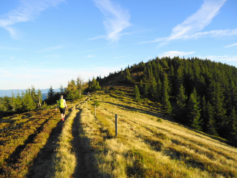 Foto: Günter Siegl / Wandertour / Über die Loretto-Kapelle zum Gipfelsammeln (2308m) / Weg zum Rosenkogel / 31.10.2014 11:20:26