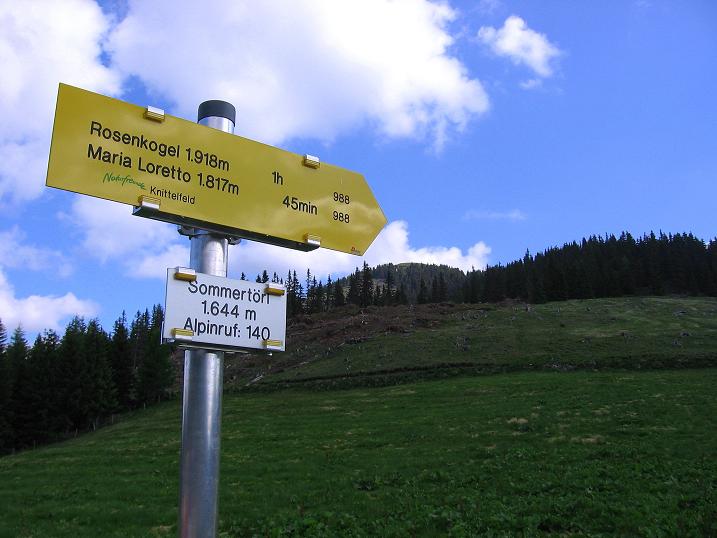 Foto: Andreas Koller / Wandertour / Über die Loretto-Kapelle zum Gipfelsammeln (2308m) / Ausgangspunkt Sommertörl / 15.06.2011 20:30:55