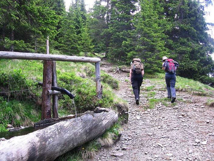 Foto: Andreas Koller / Wandertour / Über die Loretto-Kapelle zum Gipfelsammeln (2308m) / 15.06.2011 20:30:31