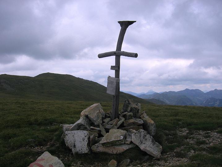 Foto: Andreas Koller / Wandertour / Über die Loretto-Kapelle zum Gipfelsammeln (2308m) / Am Lahneck / 15.06.2011 20:27:57