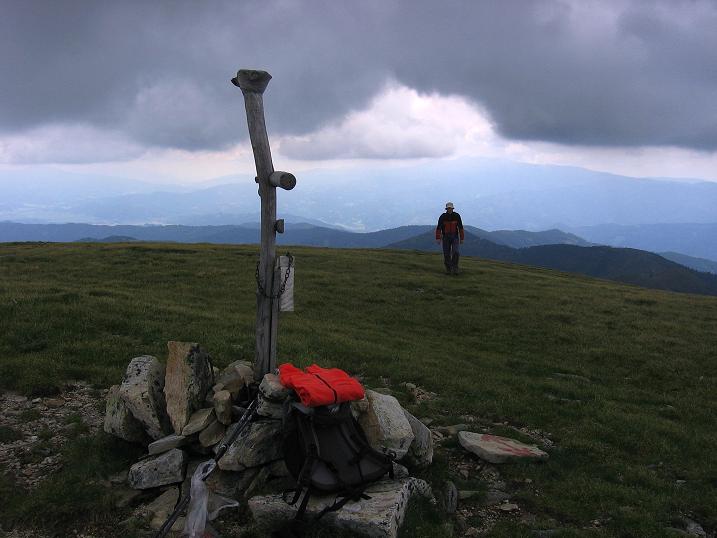 Foto: Andreas Koller / Wandertour / Über die Loretto-Kapelle zum Gipfelsammeln (2308m) / 15.06.2011 20:27:43