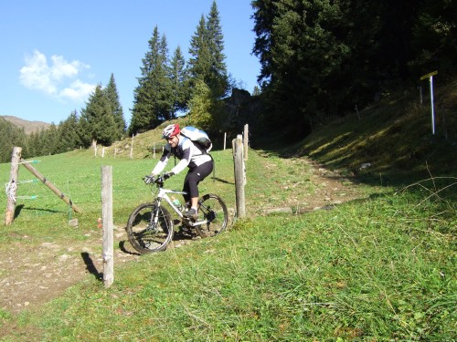 Foto: hofchri / Mountainbiketour / Rund um den Rastkogel über Geiseljoch (2292 m) - 2 Tagestour  / Trail bei Marbach / 22.06.2011 17:49:39