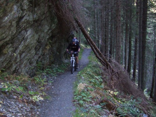 Foto: hofchri / Mountainbiketour / Rund um den Rastkogel über Geiseljoch (2292 m) - 2 Tagestour  / Wanderweg nach der Tramwaldhütte / 22.06.2011 17:41:33