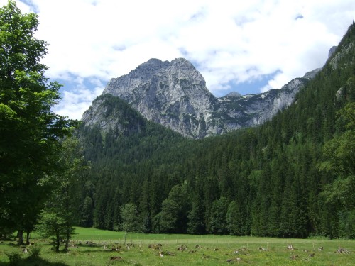 Foto: hofchri / Wandertour / Stadelhorn (2286 m) – Runde Böselsteig (B) und Schaflsteig / Start in Hintersee / 25.06.2011 18:06:50