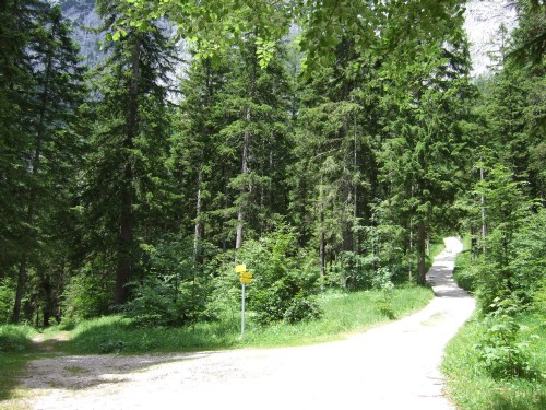 Foto: hofchri / Wandertour / Stadelhorn (2286 m) – Runde Böselsteig (B) und Schaflsteig / hier links auf den Wanderweg abbiegen / 25.06.2011 18:07:09