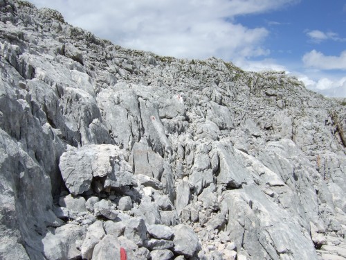 Foto: hofchri / Wandertour / Stadelhorn (2286 m) – Runde Böselsteig (B) und Schaflsteig / verblockter Weg zur Mayrbergscharte / 25.06.2011 18:12:47