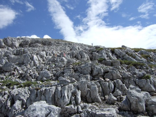 Foto: hofchri / Wandertour / Stadelhorn (2286 m) – Runde Böselsteig (B) und Schaflsteig / zum Gipfelglück / 25.06.2011 18:15:09