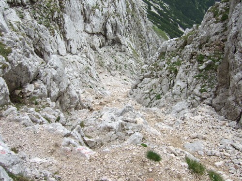 Foto: hofchri / Wandertour / Stadelhorn (2286 m) – Runde Böselsteig (B) und Schaflsteig / unangenehmer Abstieg von der Mayrbergscharte / 25.06.2011 18:17:13