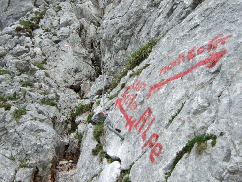 Foto: hofchri / Wandertour / Stadelhorn (2286 m) – Runde Böselsteig (B) und Schaflsteig / 25.06.2011 18:18:02