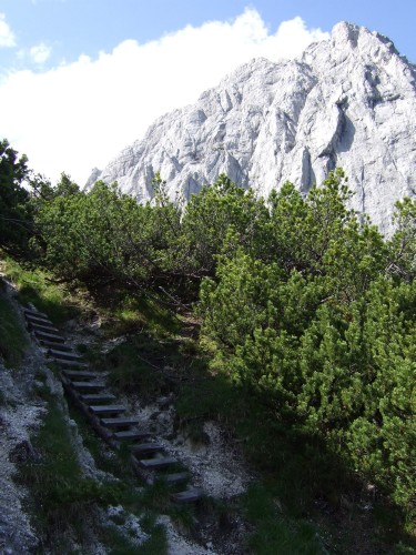 Foto: hofchri / Wandertour / Stadelhorn (2286 m) – Runde Böselsteig (B) und Schaflsteig / wenige Holzleitern / 25.06.2011 18:20:18