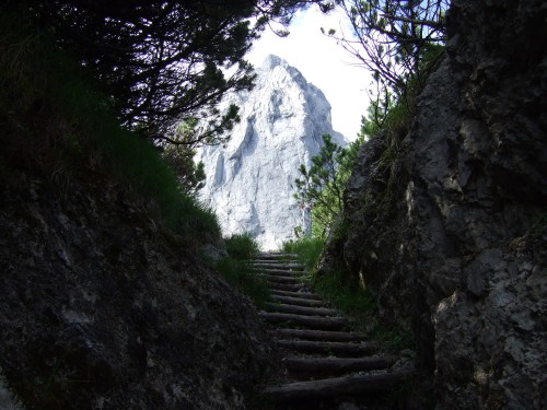 Foto: hofchri / Wandertour / Stadelhorn (2286 m) – Runde Böselsteig (B) und Schaflsteig / 25.06.2011 18:20:29