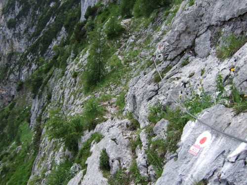 Foto: hofchri / Wandertour / Stadelhorn (2286 m) – Runde Böselsteig (B) und Schaflsteig / der Steig beginnt mit Quergang / 25.06.2011 18:08:20