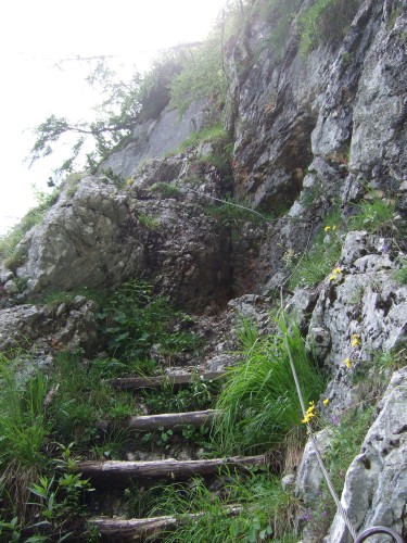 Foto: hofchri / Wandertour / Stadelhorn (2286 m) – Runde Böselsteig (B) und Schaflsteig / Böselsteig mit Schwierigkeit B / 25.06.2011 18:08:42