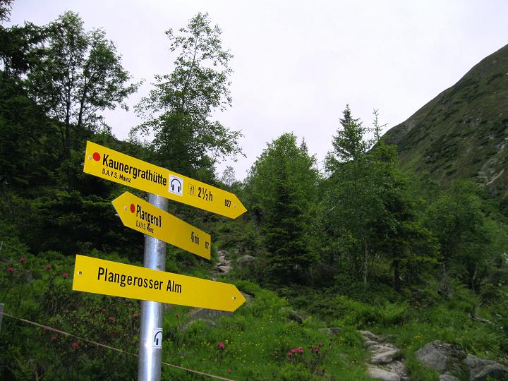 Foto: Andreas Koller / Wandertour / Zum Aussichtspunkt Plangerosskopf (3053m) / 28.06.2011 19:50:33