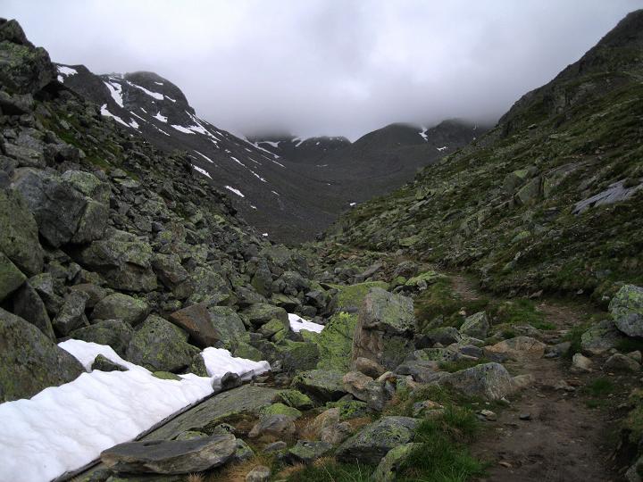Foto: Andreas Koller / Wandertour / Zum Aussichtspunkt Plangerosskopf (3053m) / 28.06.2011 19:49:05