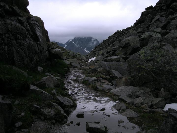Foto: Andreas Koller / Wandertour / Zum Aussichtspunkt Plangerosskopf (3053m) / 28.06.2011 19:48:51