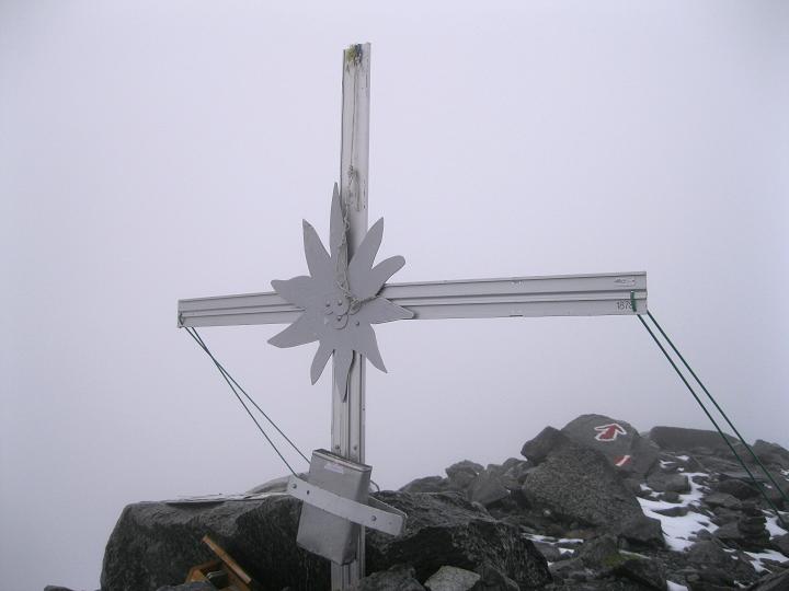 Foto: Andreas Koller / Wandertour / Zum Aussichtspunkt Plangerosskopf (3053m) / Am Gipfel des Plangerosskopfs / 28.06.2011 19:47:14