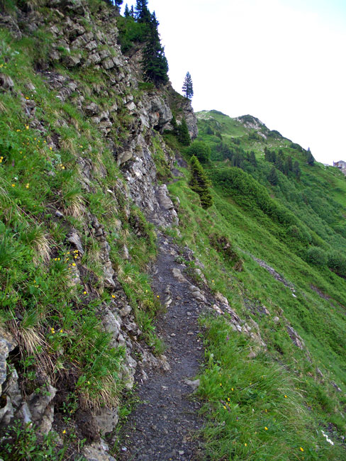 Foto: vince 51 / Wandertour / Saladinaspitze/Fensterlewand / auf dem Felsensteig / 01.07.2011 22:48:12