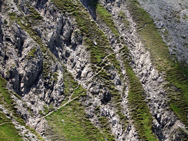 Foto: vince 51 / Wandertour / Saladinaspitze/Fensterlewand / zu querende Rinnen in der NW-Flanke / 01.07.2011 22:38:46