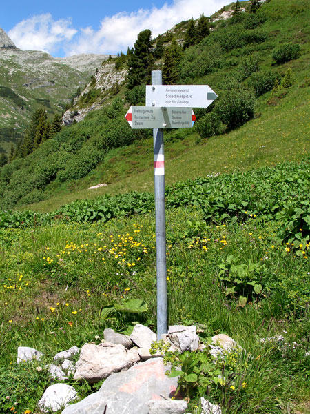 Foto: vince 51 / Wandertour / Saladinaspitze/Fensterlewand / 01.07.2011 22:46:36