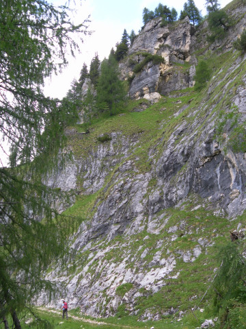Foto: Wolfgang Lauschensky / Wandertour / Monte Pena oder Penna 2196m / Almweg zum Rifugio Venezia entlang der Westflucht des Monte Pena / 02.07.2011 16:28:08